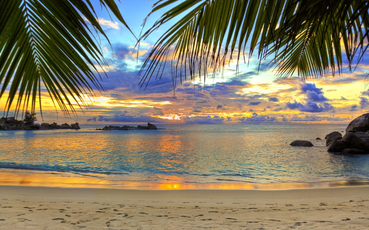 картинка Фотообои закат на пляже с видом на пальмы и камниот интернет-магазина Фотомили