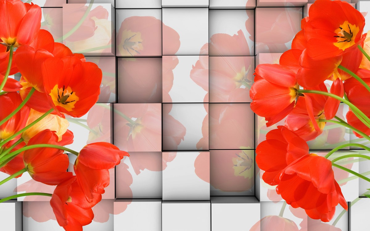 картинка 3 D фотообои кубы и красные тюльпаны с отражениемот интернет-магазина Фотомили