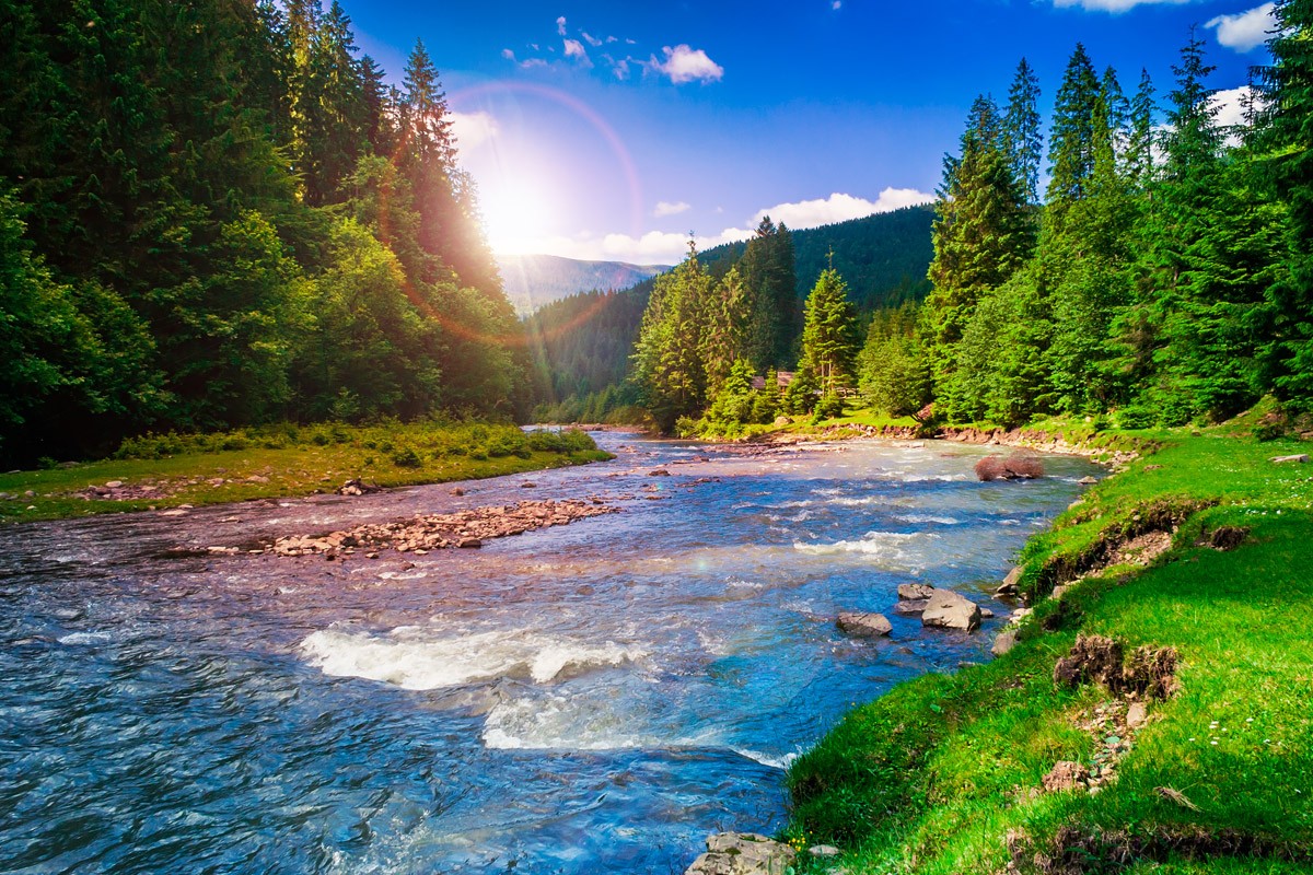 картинка Фотообои горная река в живописном лесуот интернет-магазина Фотомили