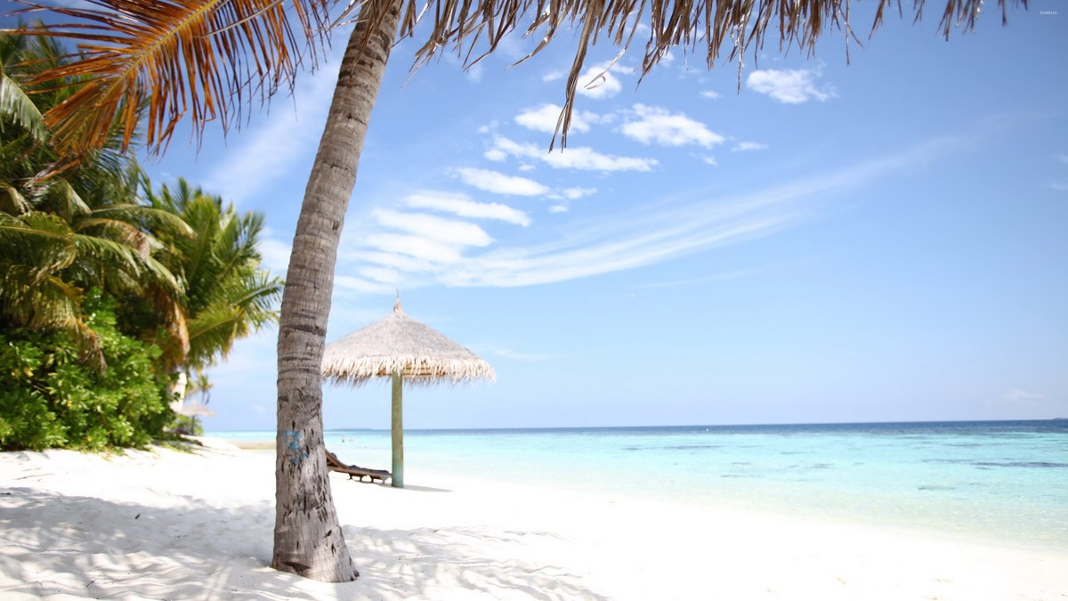 картинка Фотообои белоснежный песок на тропическом пляжеот интернет-магазина Фотомили