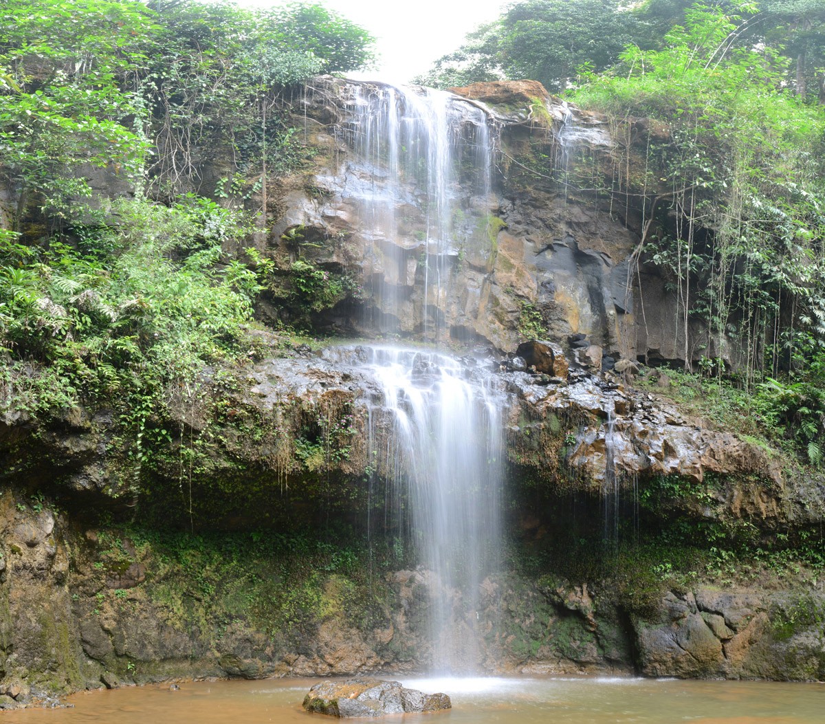 картинка Фотообои водопад Шираитоот интернет-магазина Фотомили