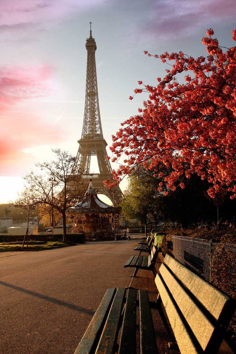 картинка Фотообои Эйфелева башня с видом на лавочки и детский аттракционот интернет-магазина Фотомили