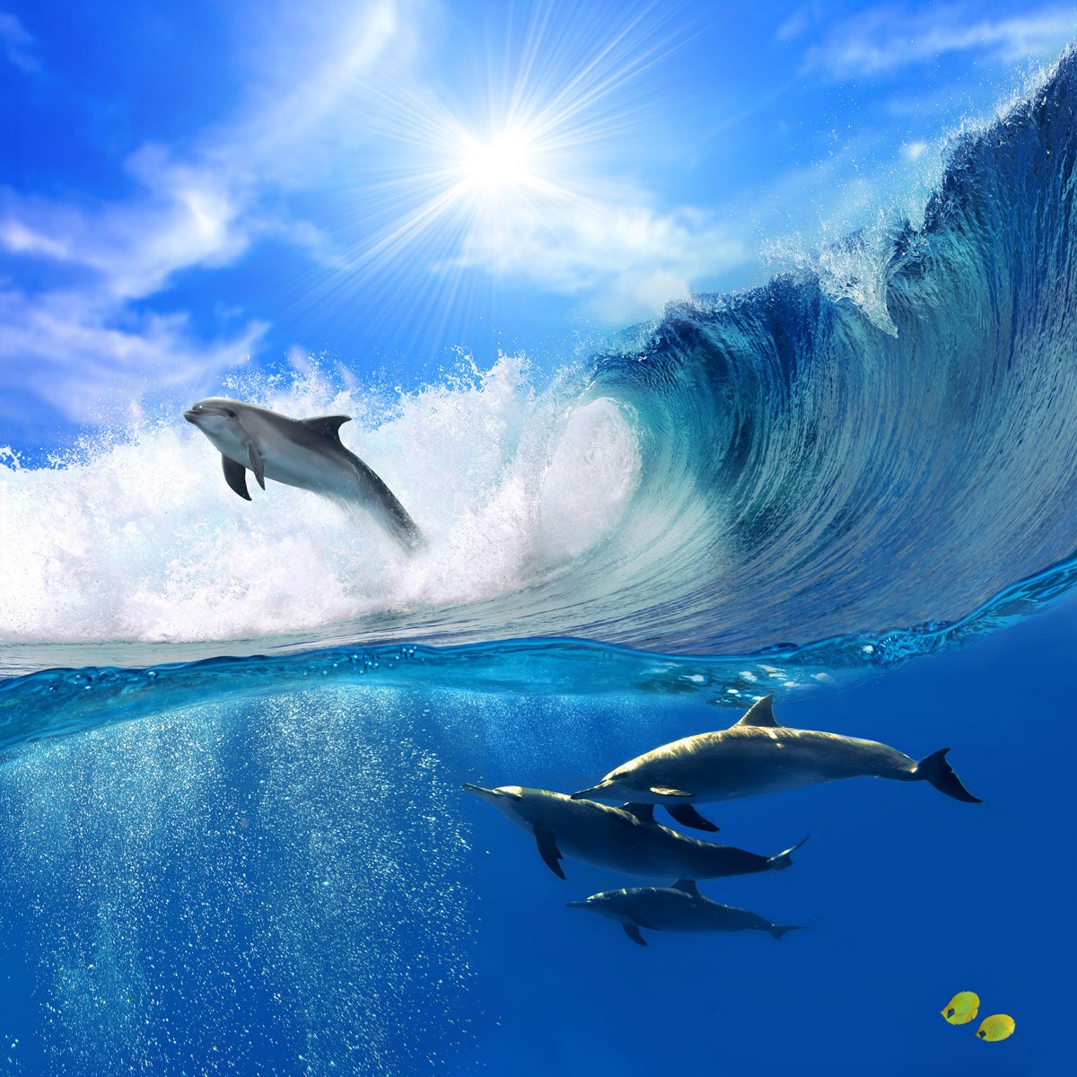 картинка Фотообои дельфин выпрыгивающий из волныот интернет-магазина Фотомили