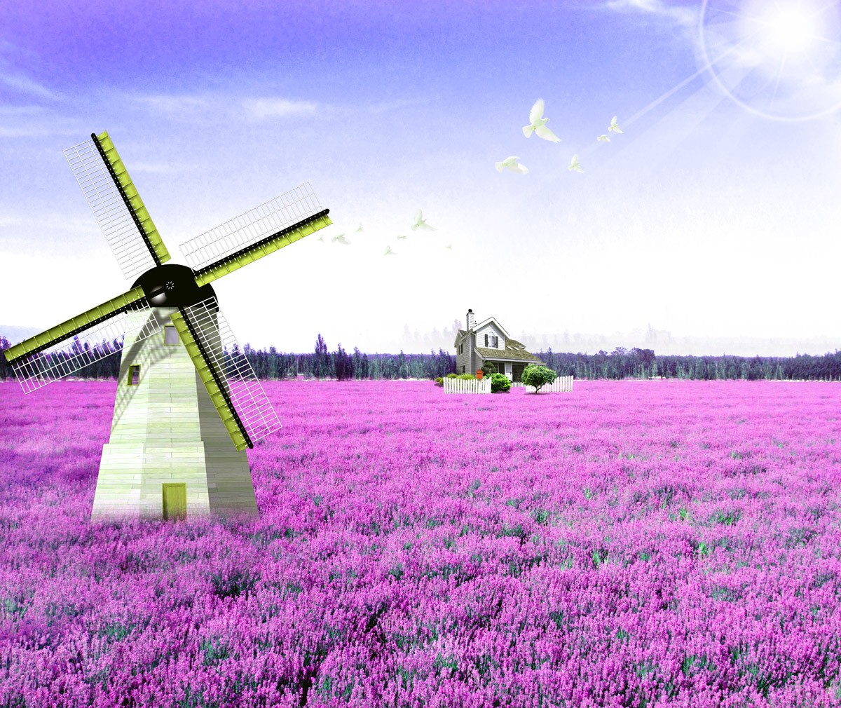 картинка Фотообои ветряная мельница в лавандовом полеот интернет-магазина Фотомили
