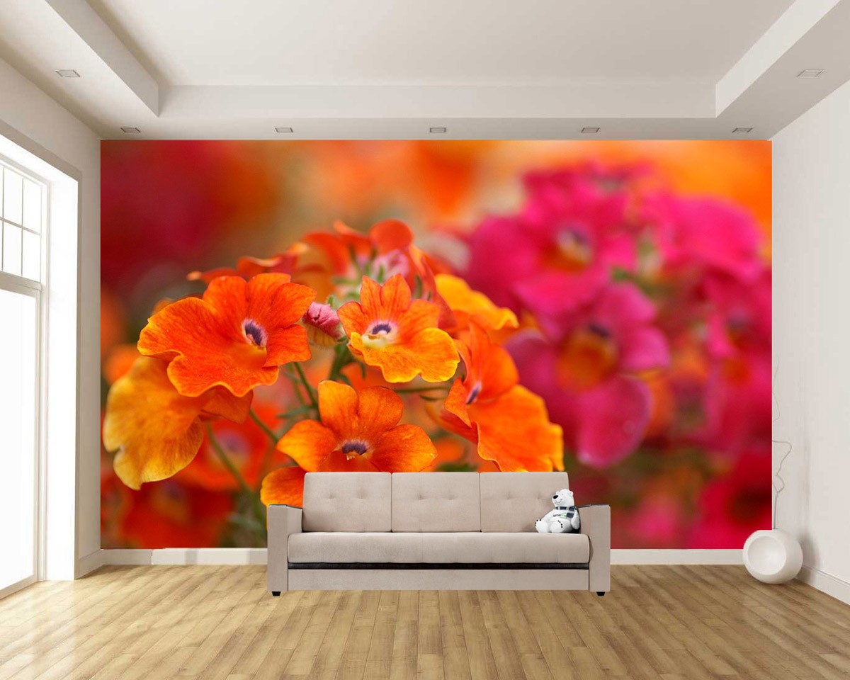 картинка Фотообои цветки розовой и оранжевой немезииот интернет-магазина Фотомили