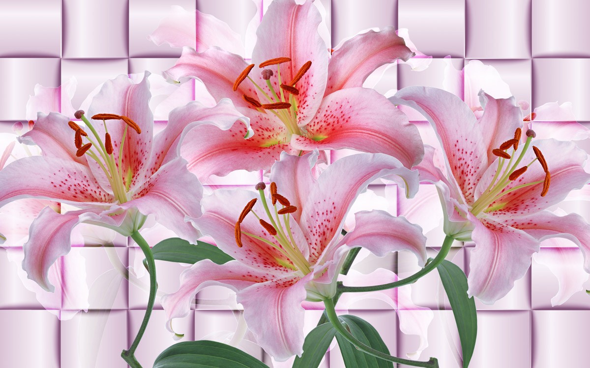 картинка 3 D фотообои нежно розовая лилия на фоне кубовот интернет-магазина Фотомили