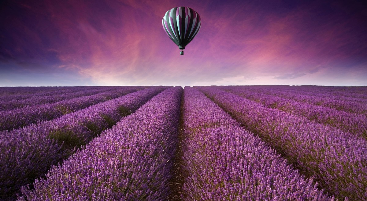картинка Фотообои воздушный шар над лавандовым полем и сиреневым небомот интернет-магазина Фотомили