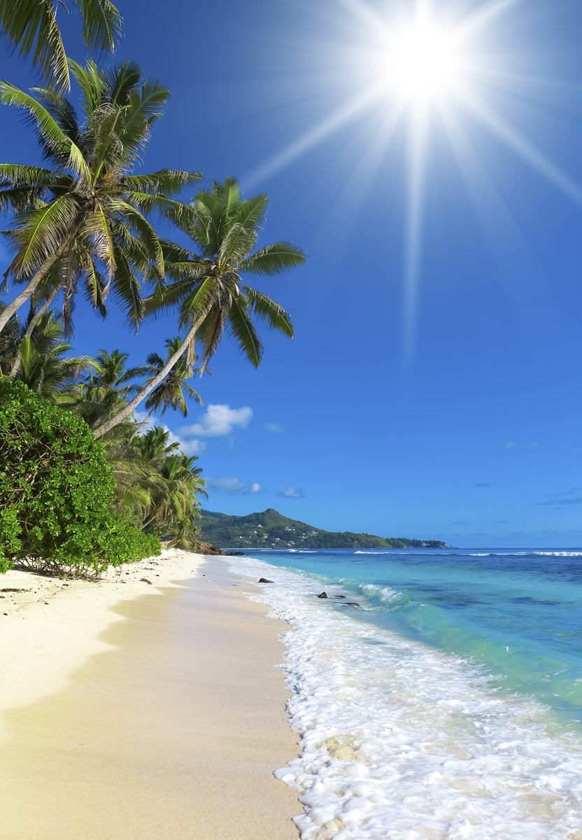 картинка Фотообои солнце море пляж и пальмыот интернет-магазина Фотомили