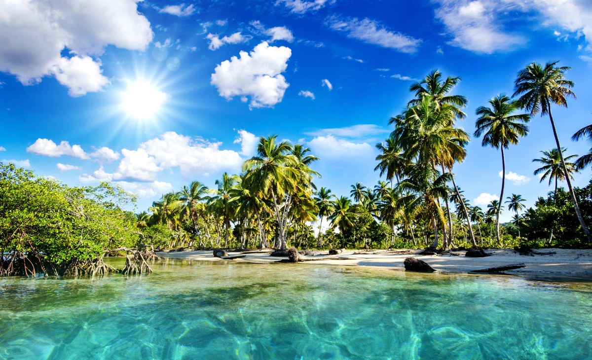 картинка Фотообои тропики море изумрудная вода и пальмыот интернет-магазина Фотомили