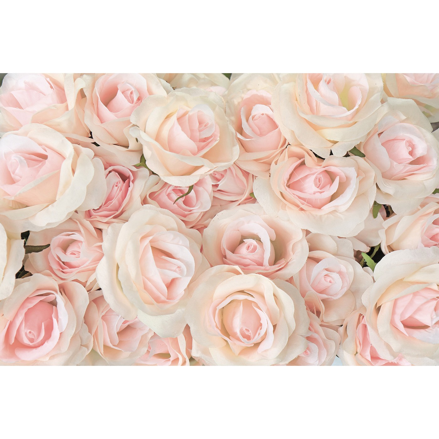картинка Фотообои невероятно нежные розыот интернет-магазина Фотомили