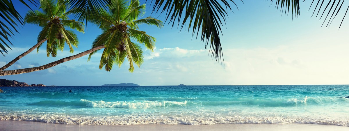 картинка Фотообои волны на морском пляже с видом на пальмыот интернет-магазина Фотомили