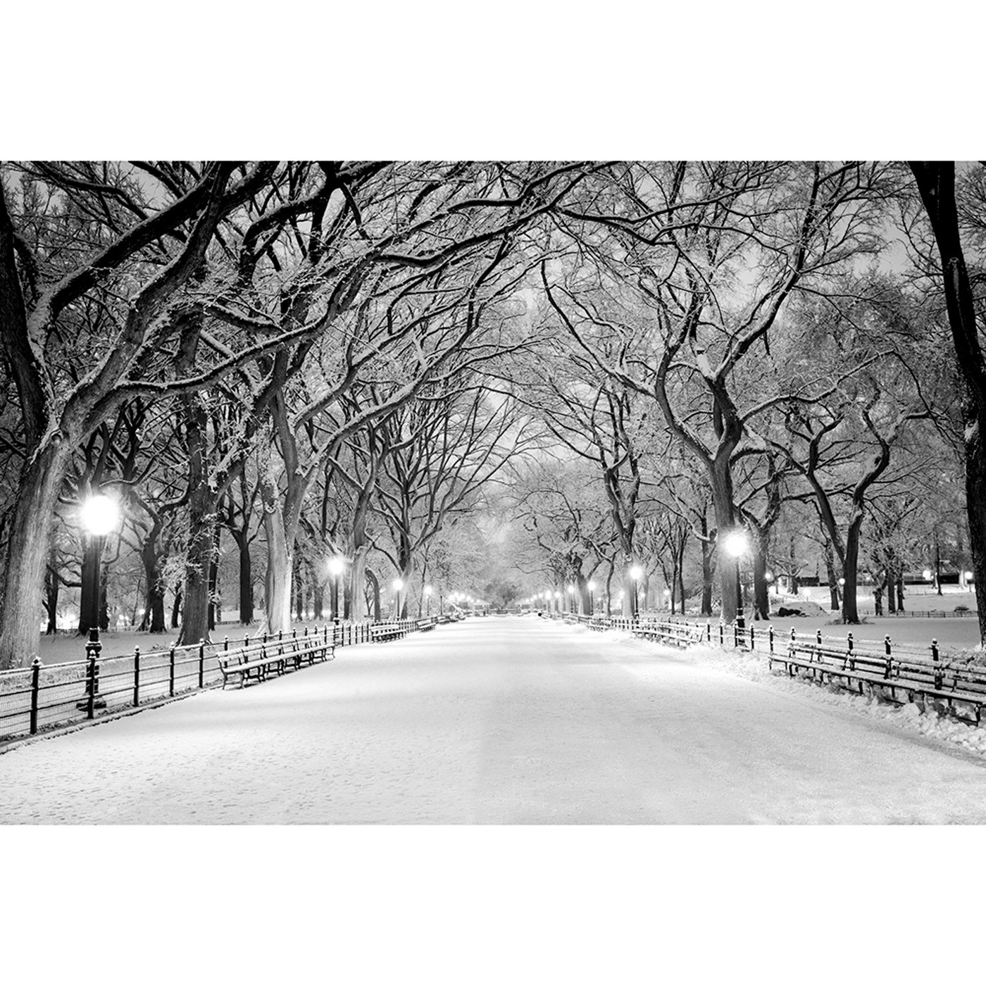 картинка Фотообои заснеженная аллея с фонарями и деревьями черно белыйот интернет-магазина Фотомили