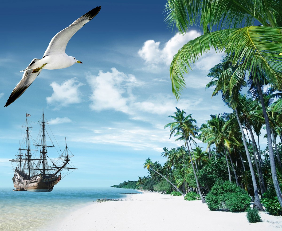 картинка Фотообои море пальмы чайка и корабльот интернет-магазина Фотомили