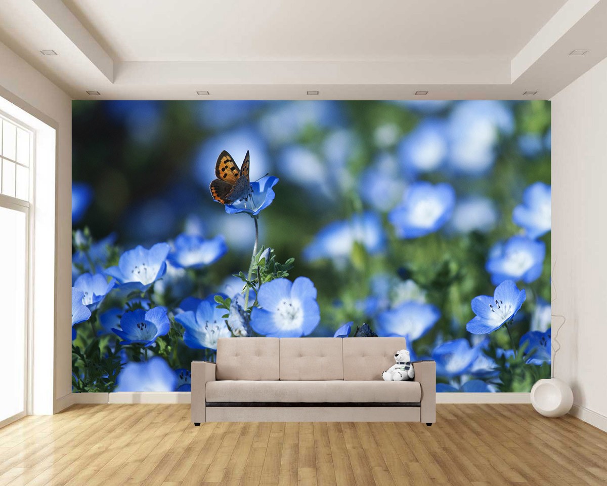 картинка Фотообои поле с американскими незабудками и бабочкойот интернет-магазина Фотомили