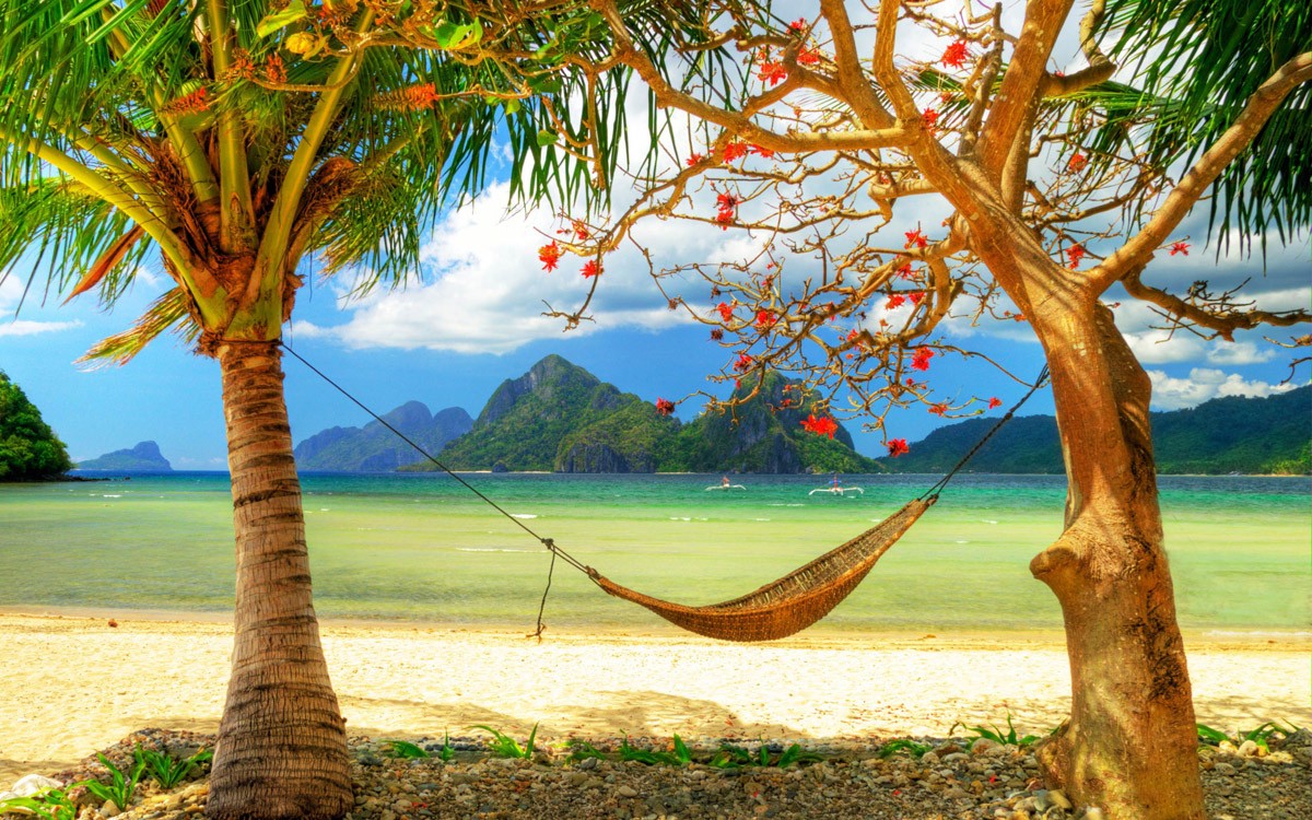 картинка Фотообои гамак между деревьями с видом на пляж и островаот интернет-магазина Фотомили