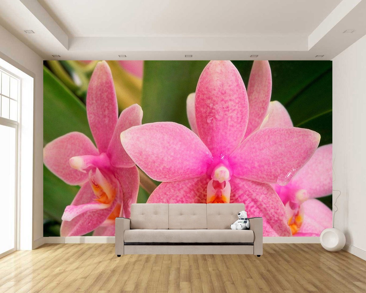 картинка Фотообои розовые орхидеи крупным планом с капельками росыот интернет-магазина Фотомили