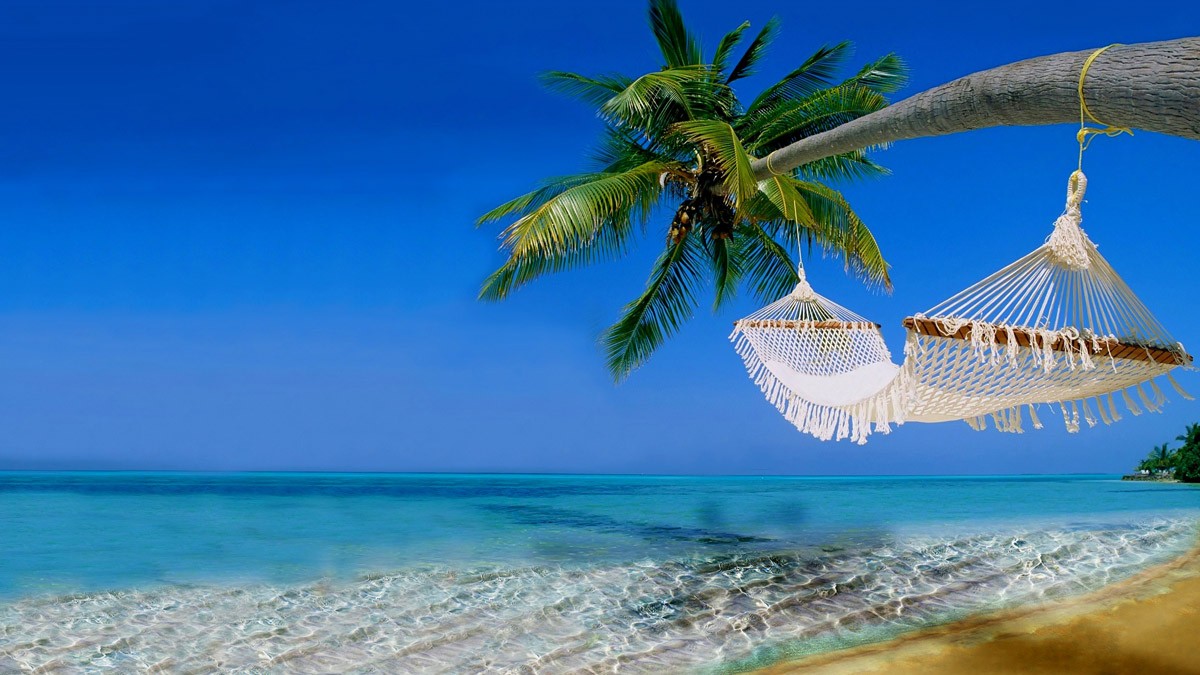 картинка Фотообои белоснежный гамак на пальме над моремот интернет-магазина Фотомили