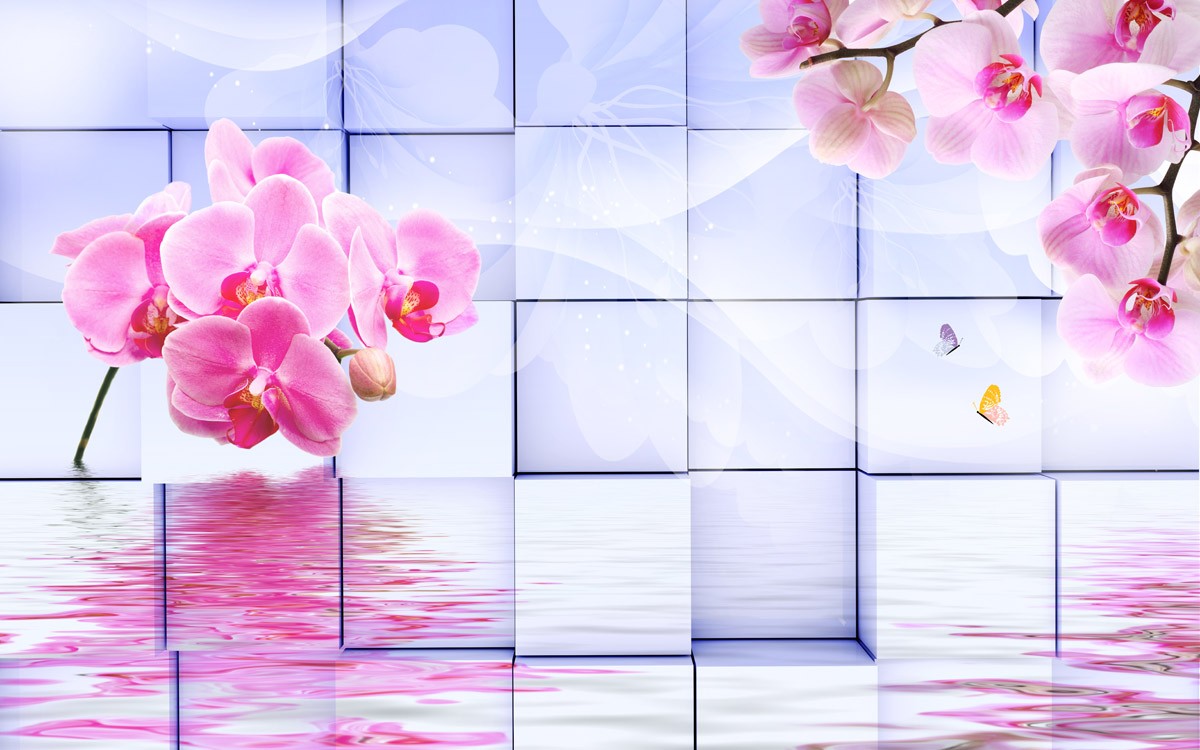 картинка 3 D фотообои кубы и орхидеи с отражением на водной гладиот интернет-магазина Фотомили