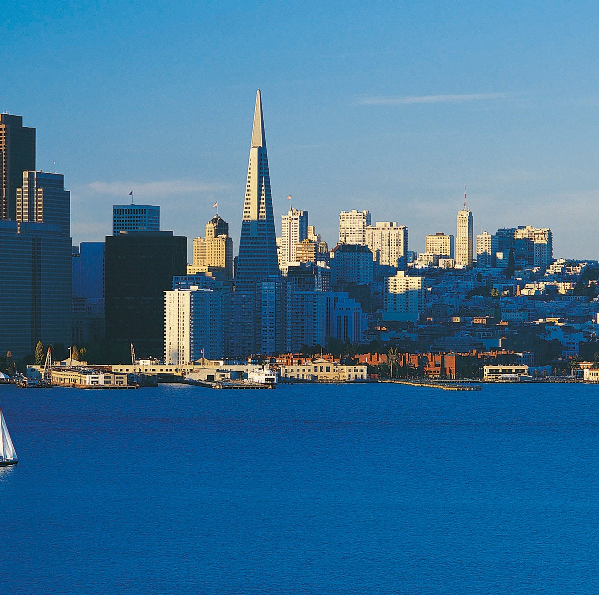 картинка Фотообои башня Трансамерика в Сан-Францискоот интернет-магазина Фотомили