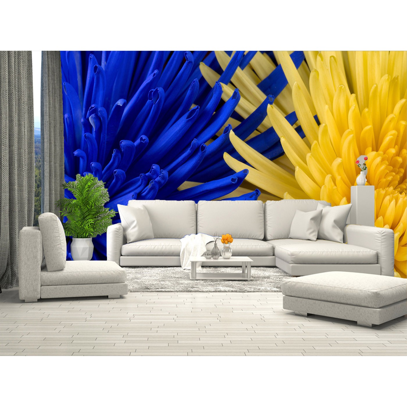 картинка Фотообои цветы хризантемы синие и желтыеот интернет-магазина Фотомили