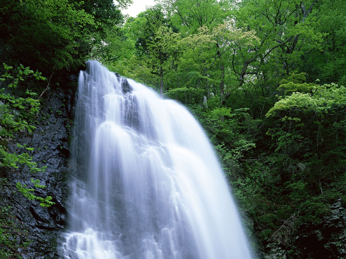 картинка Фотообои водопад Скакалоот интернет-магазина Фотомили