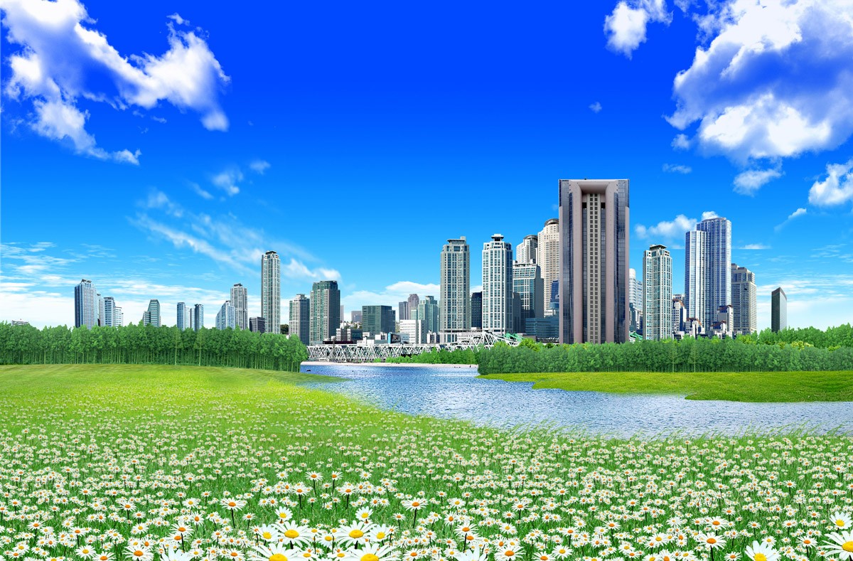 картинка Фотообои небоскребы с ромашковым полем и рекойот интернет-магазина Фотомили