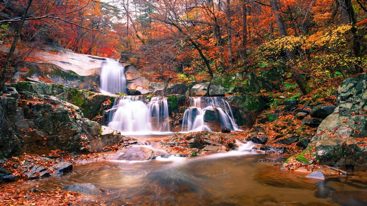 картинка Фотообои красочный осенний водопад в лесуот интернет-магазина Фотомили