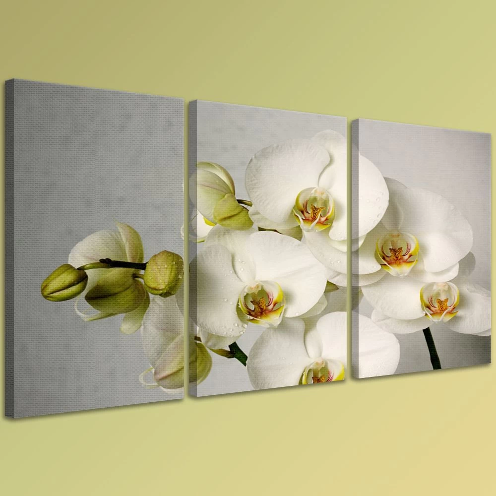 Картина на холсте на заказ Живописная орхидея фаленопсис