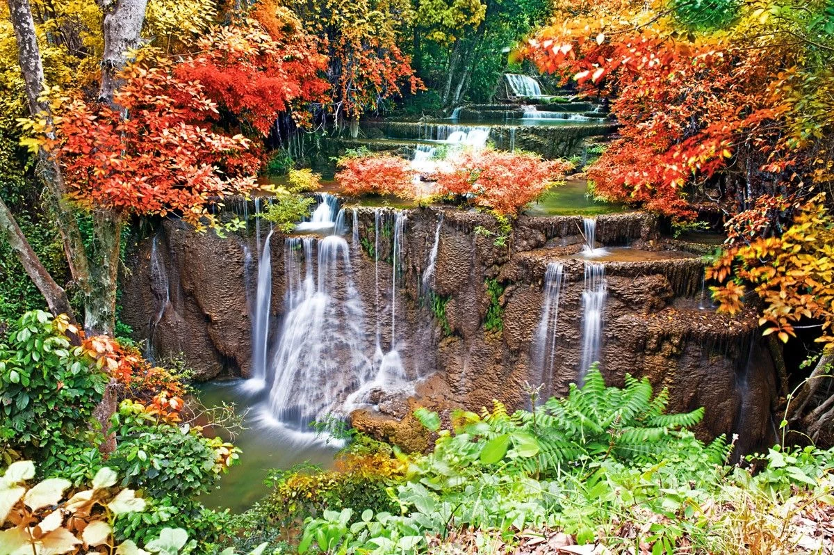картинка Фотообои красивый осенний водопад в лесуот интернет-магазина Фотомили