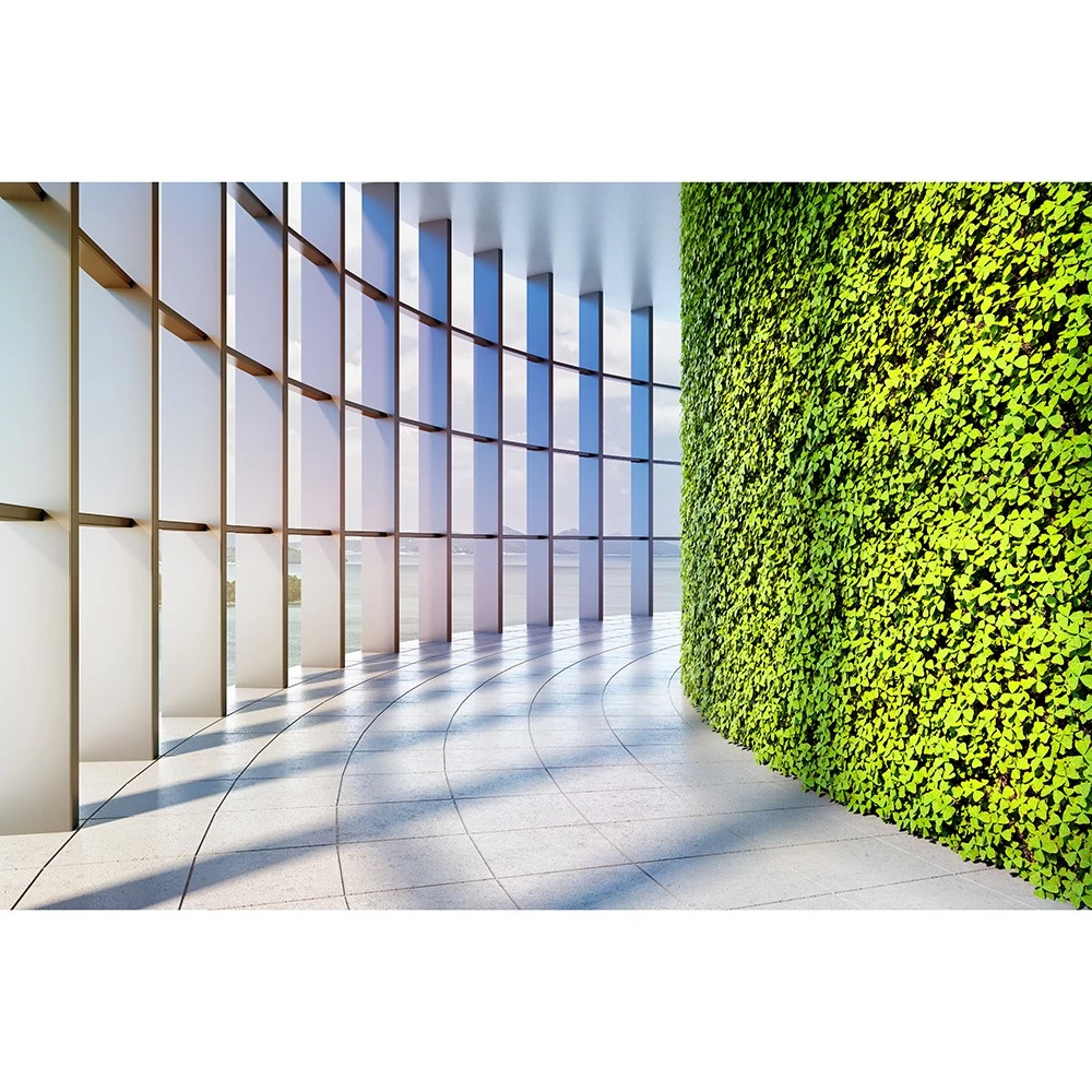 картинка Фотообои проход по современному дому с зеленью на стенеот интернет-магазина Фотомили