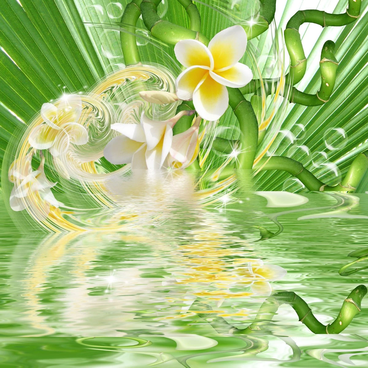 картинка Фотообои цветы франжипани в зелени и на водеот интернет-магазина Фотомили