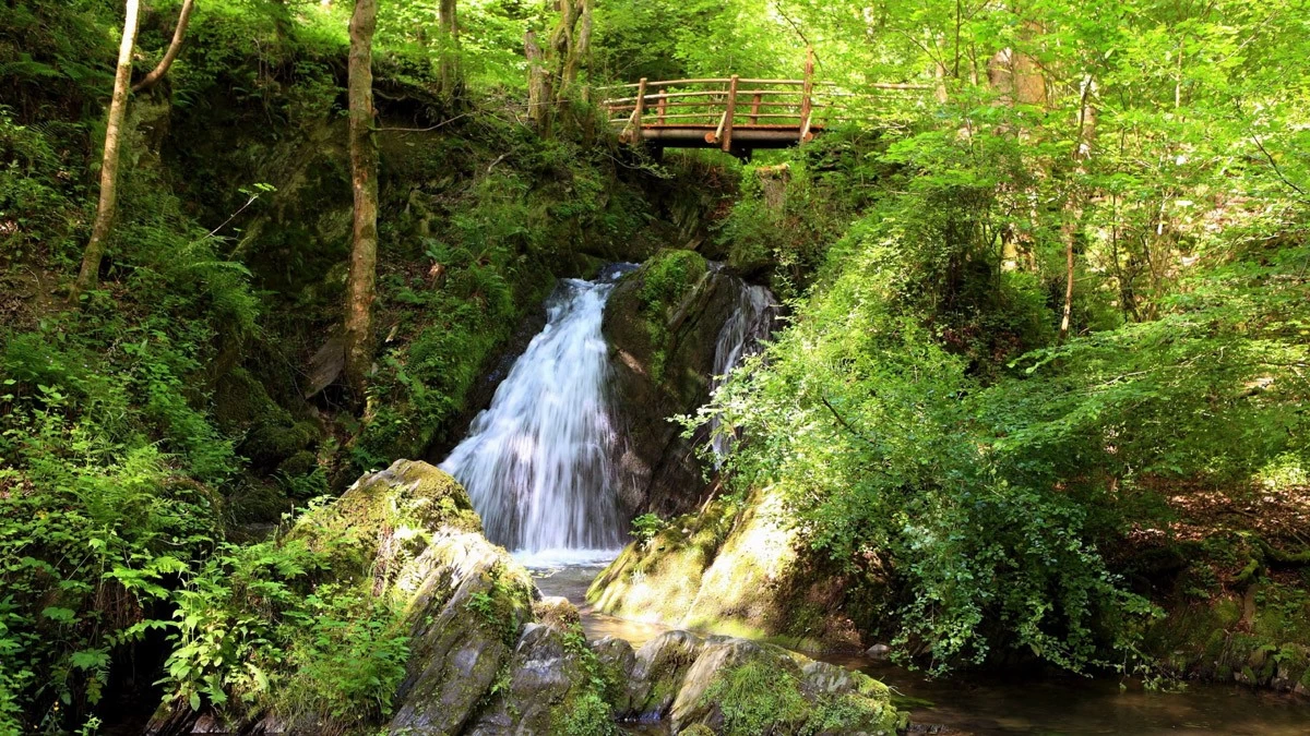 картинка Фотообои малый водопад в лесуот интернет-магазина Фотомили