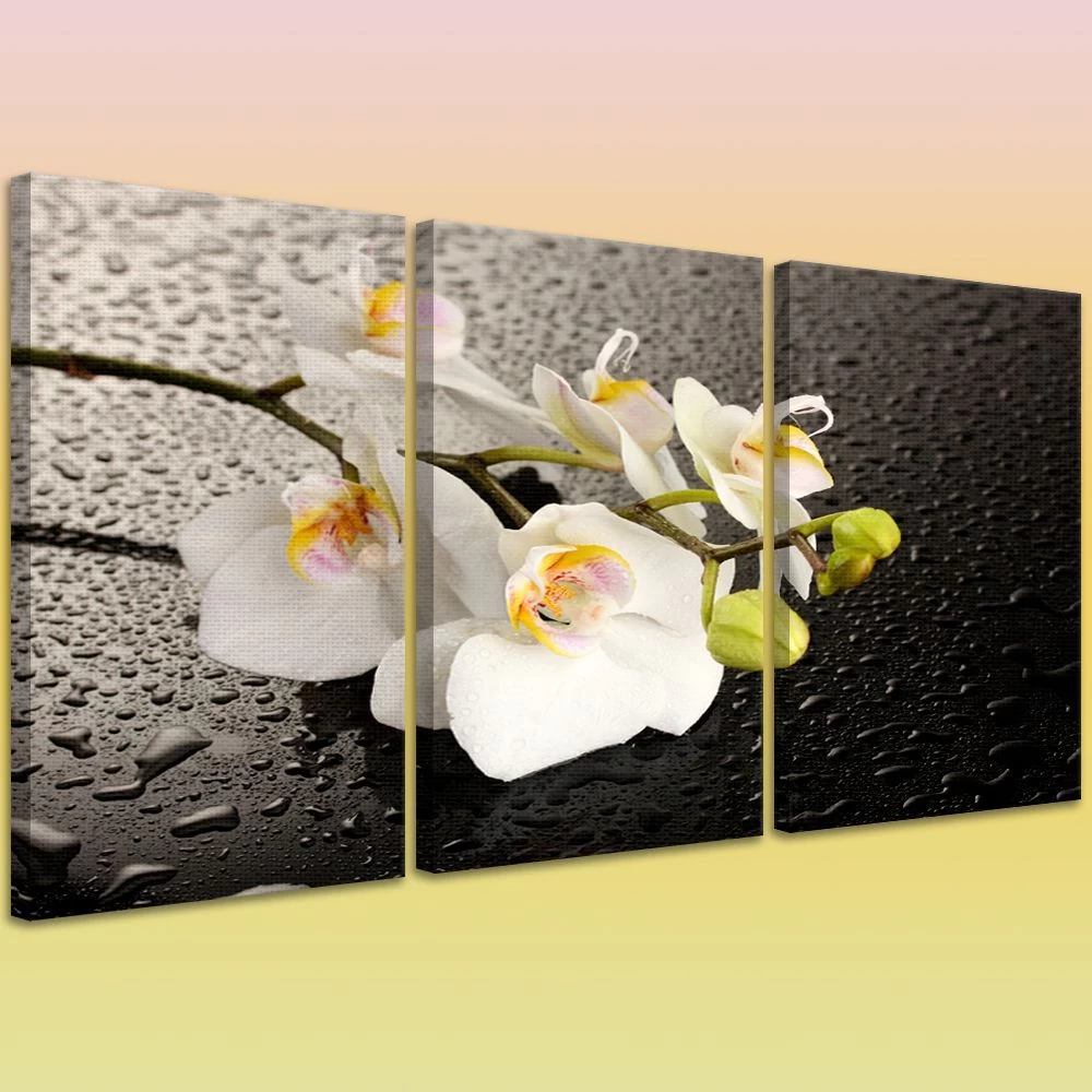 Картина на холсте на заказ Белоснежная орхидея под каплями дождя