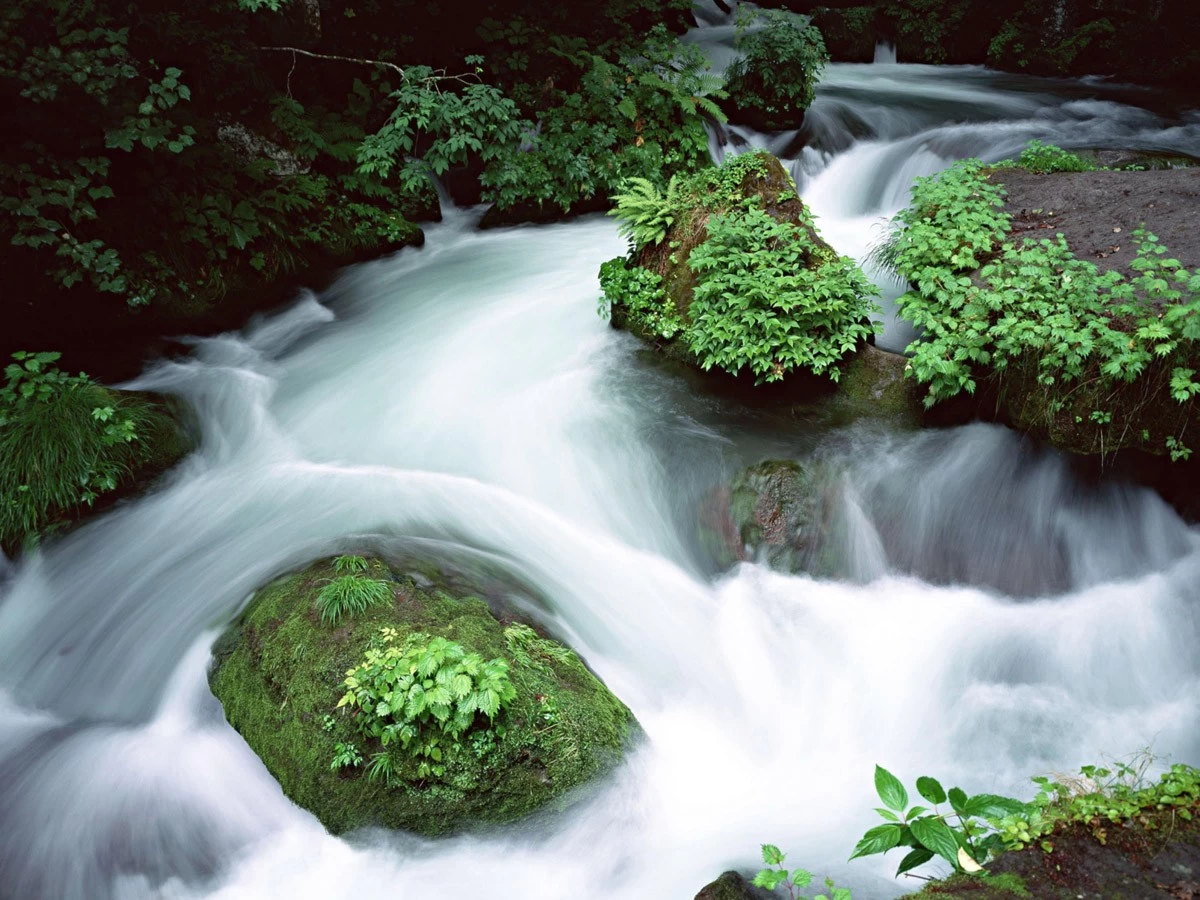 картинка Фотообои водопад в лесу с камнями во мхуот интернет-магазина Фотомили