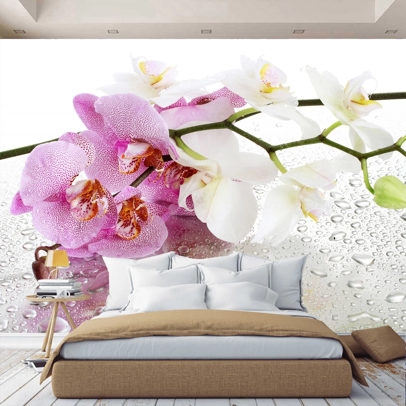 картинка Фотообои цветение орхидеи фаленопсис манхэттенот интернет-магазина Фотомили