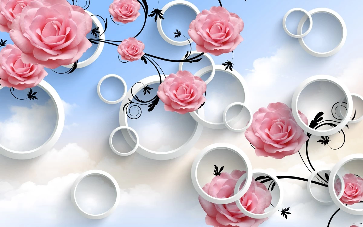 картинка 3 D фотообои розовые розы на фоне неба с кругамиот интернет-магазина Фотомили