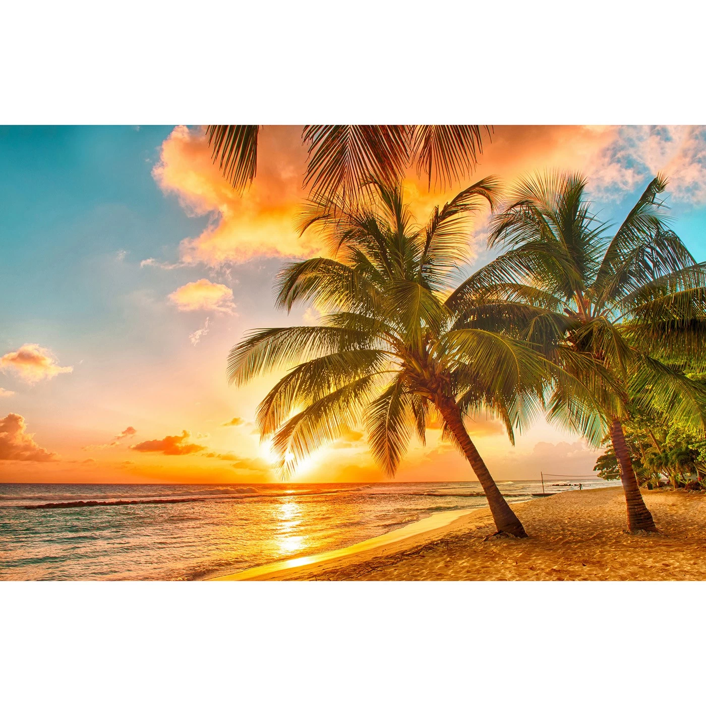картинка Фотообои тропический закат с пальмамиот интернет-магазина Фотомили
