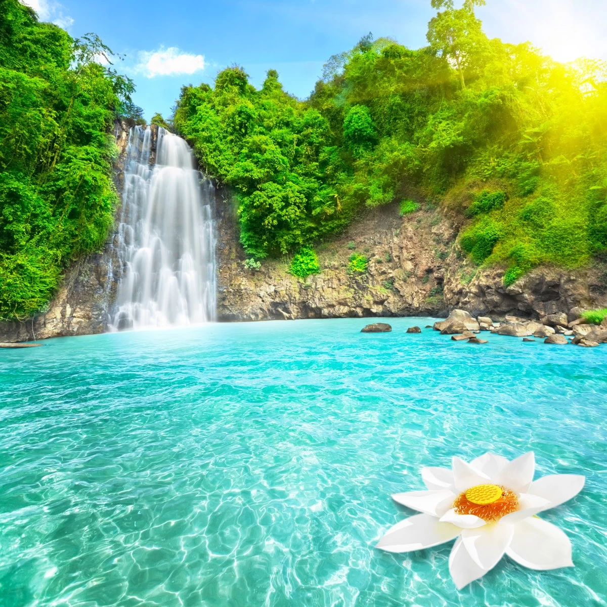 картинка Фотообои тропический водопад и цветок лотосаот интернет-магазина Фотомили